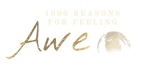 awe1000.com