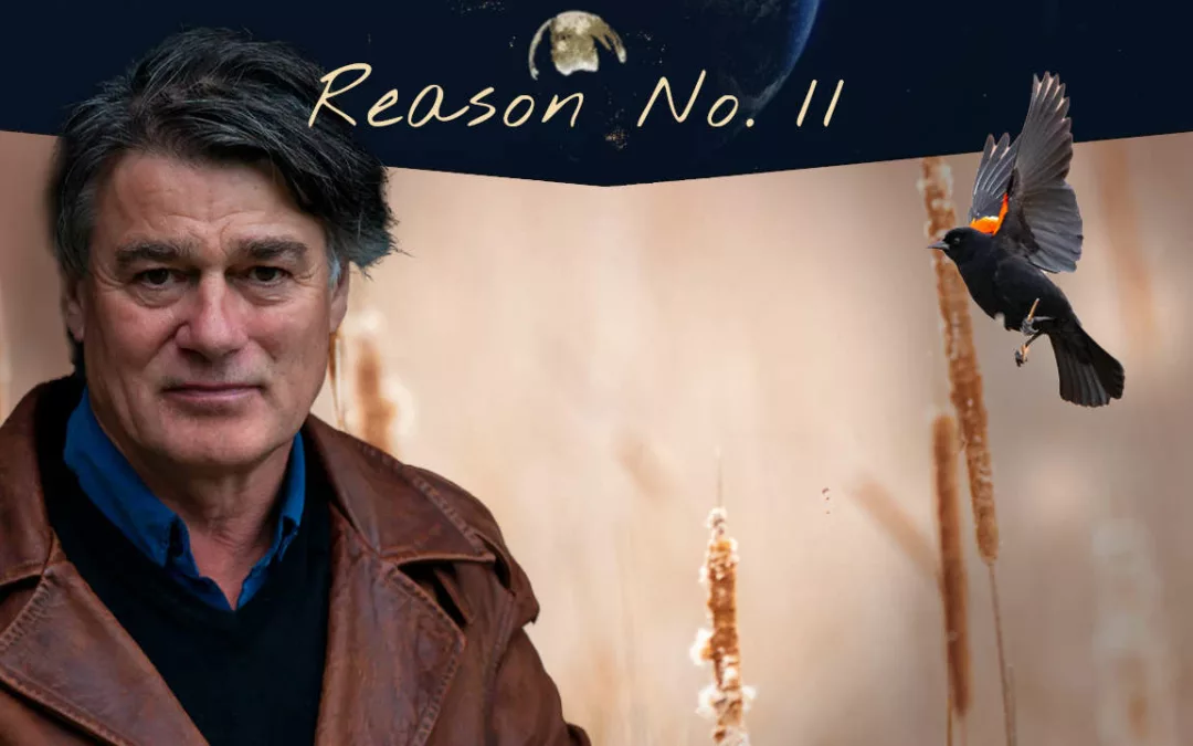 Reason No. 11: Poetry As Awe with David Whyte